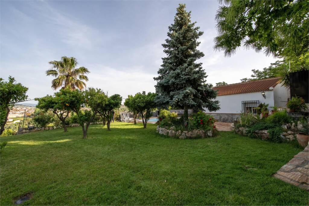 Вилла Casa Cuesta Del Alamo. Vistas Frente Puente Lata Гранада Экстерьер фото